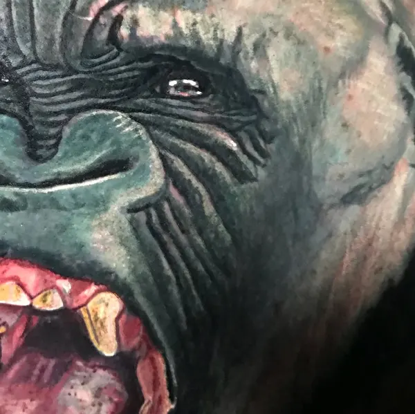 Animal, Tiger, 고릴라