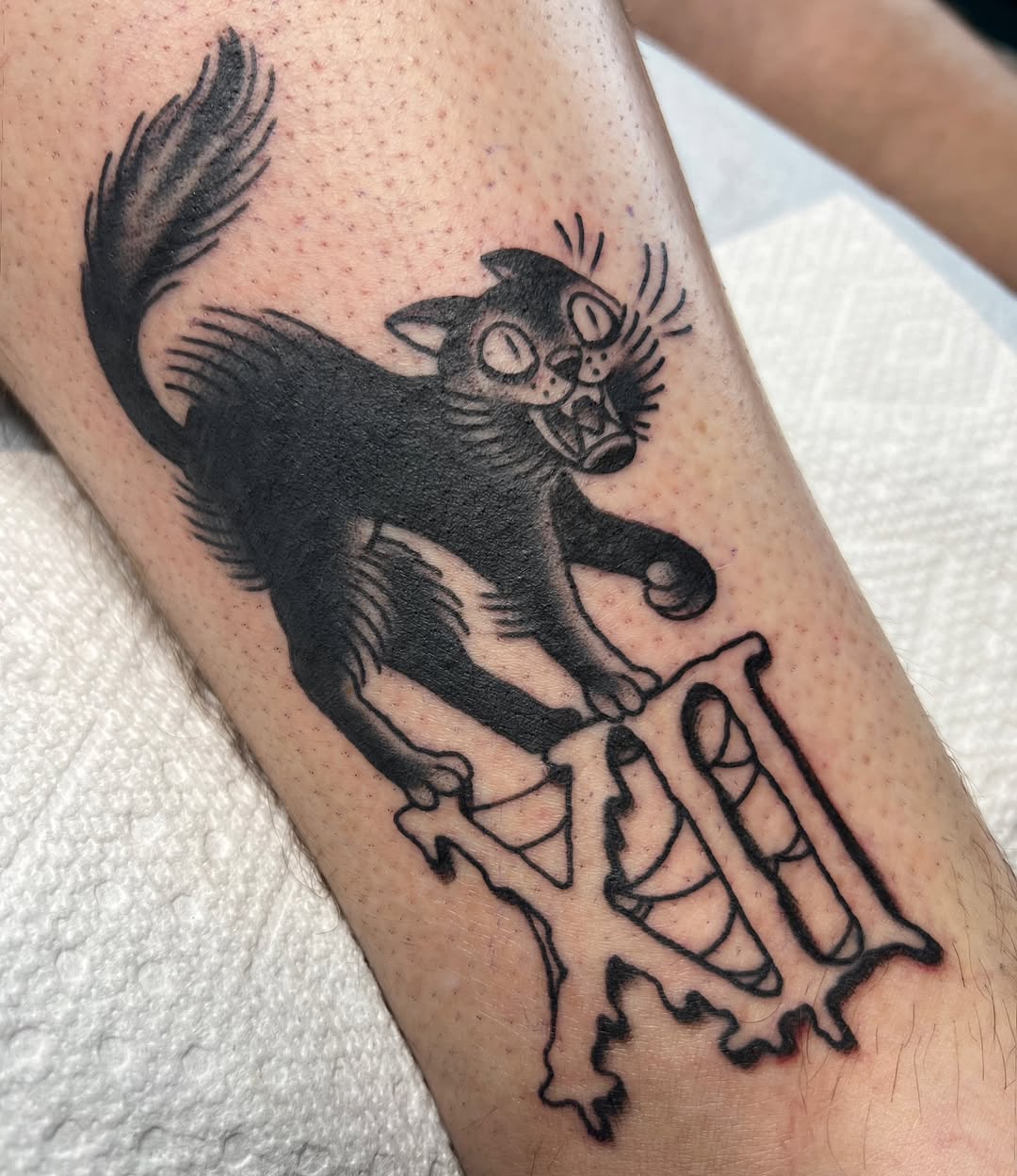 Animal