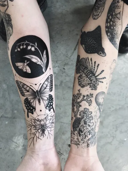 Animal, Nature