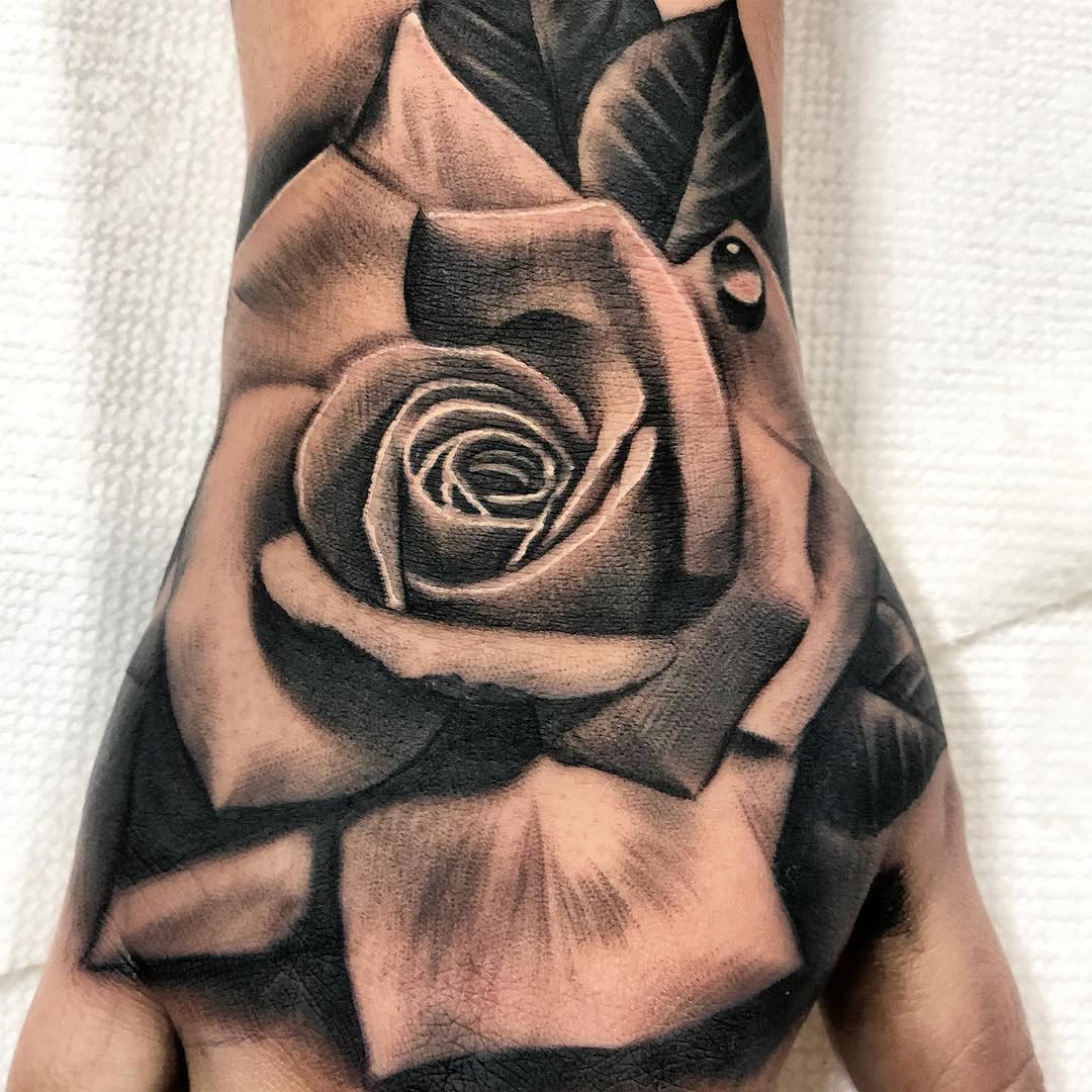 Flower, Rose