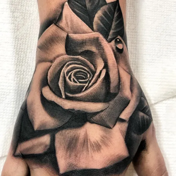 Flower, Rose