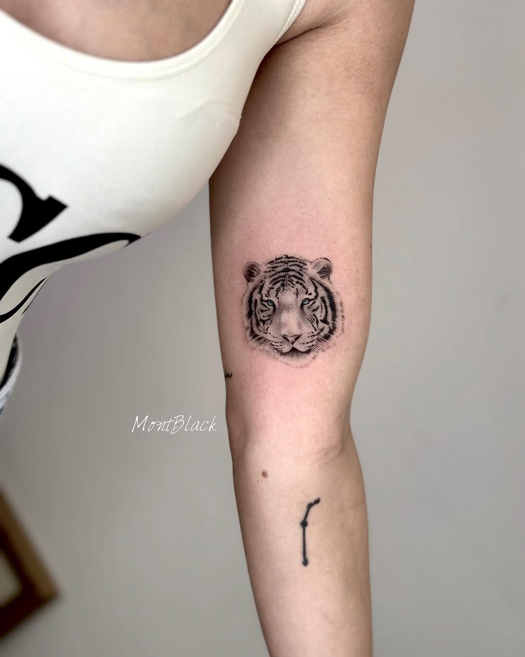 Tiger, 민화