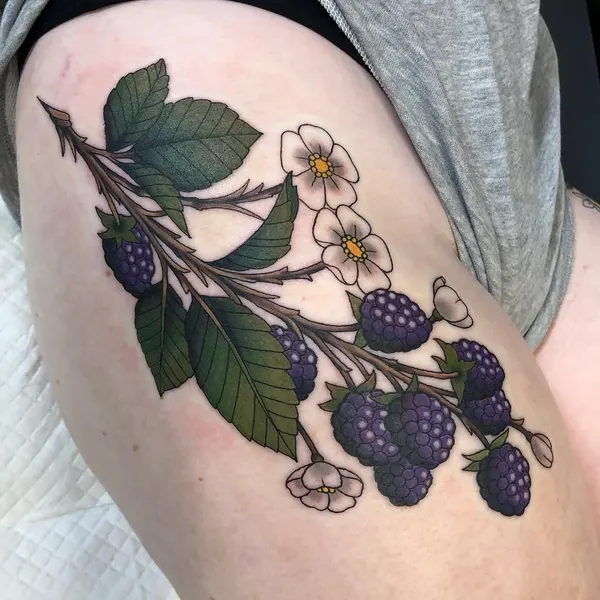 Flower, Rose, Nature