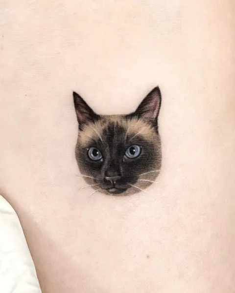 고양이, 텐구, 반려동물