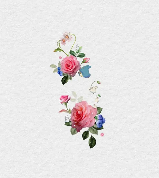 Flower, Rose, 커버업