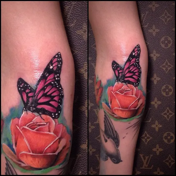 Flower, Animal, Nature