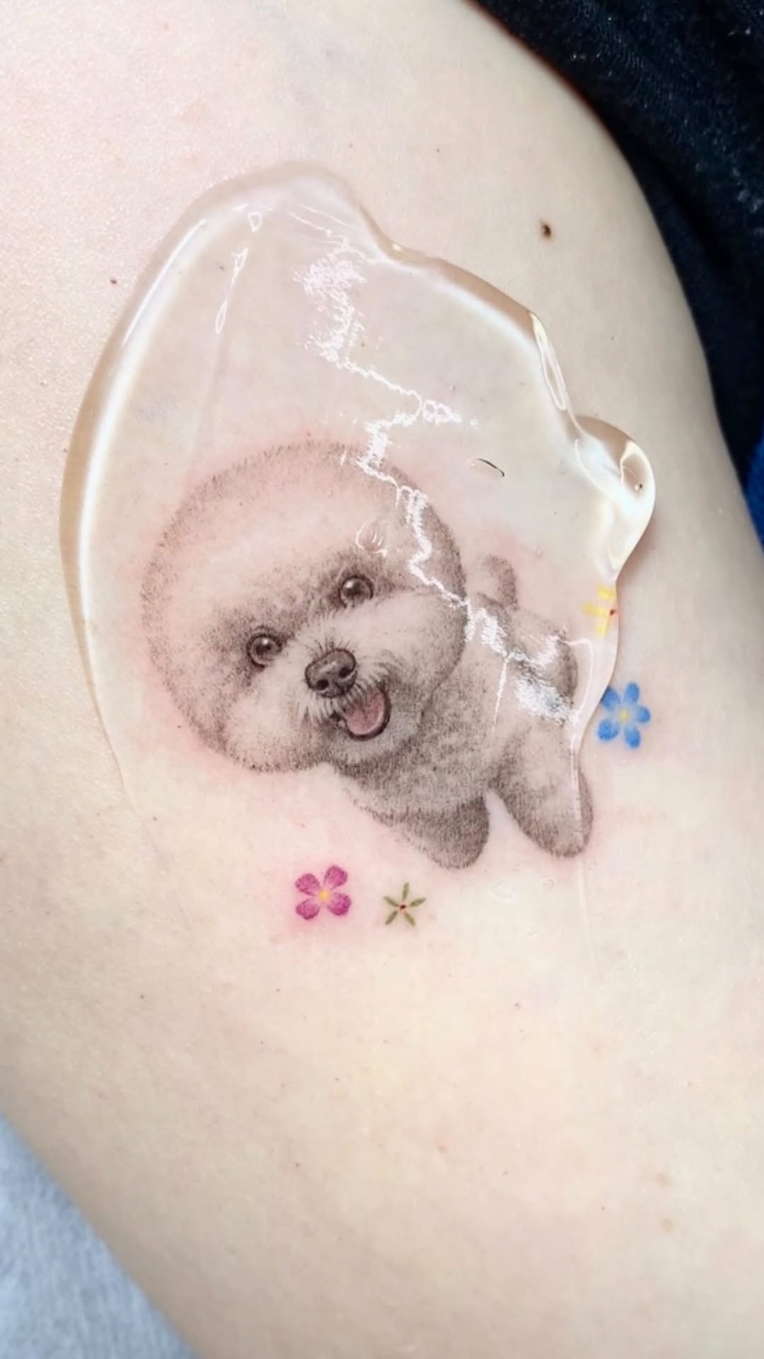 곰, 코알라, 판다, 고슴도치, 나무늘보