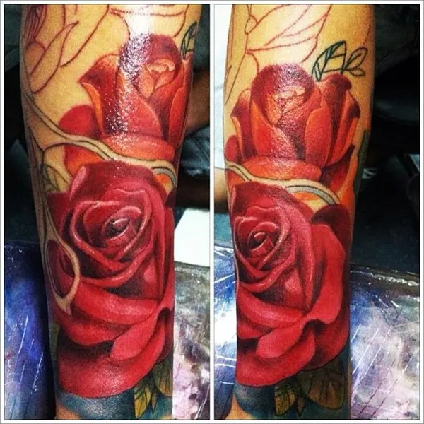 Flower, Rose