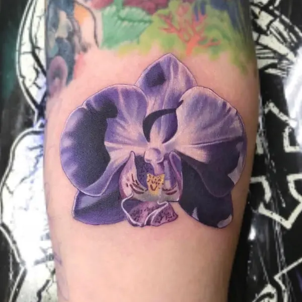 Flower, 난초