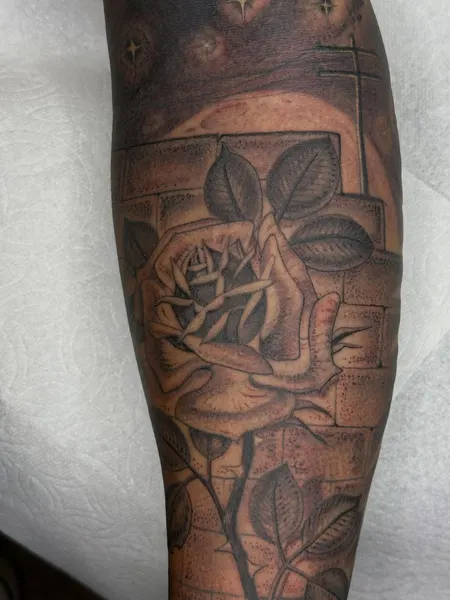 Flower, Rose