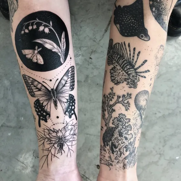 Animal, Nature