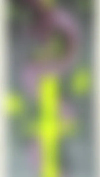 sacred_crow