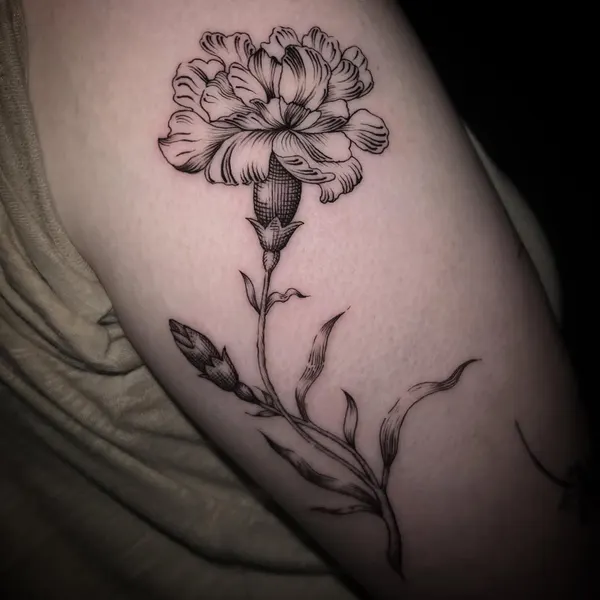 Rose, Flower