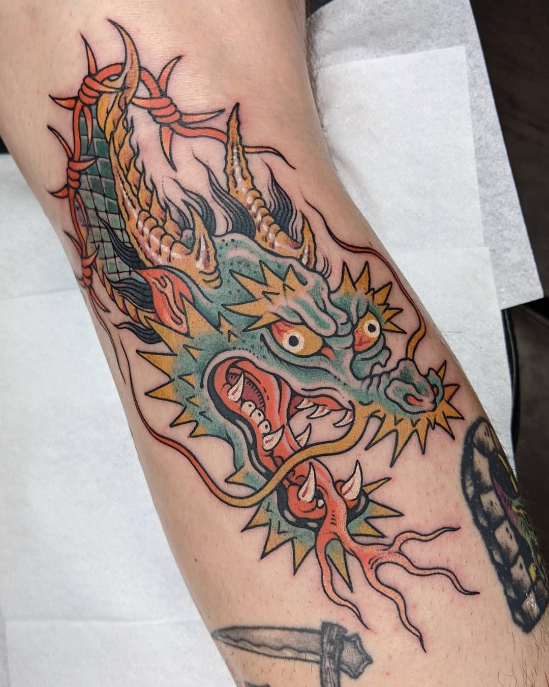 Dragon, 중국 용, 한국 용, 일본 용