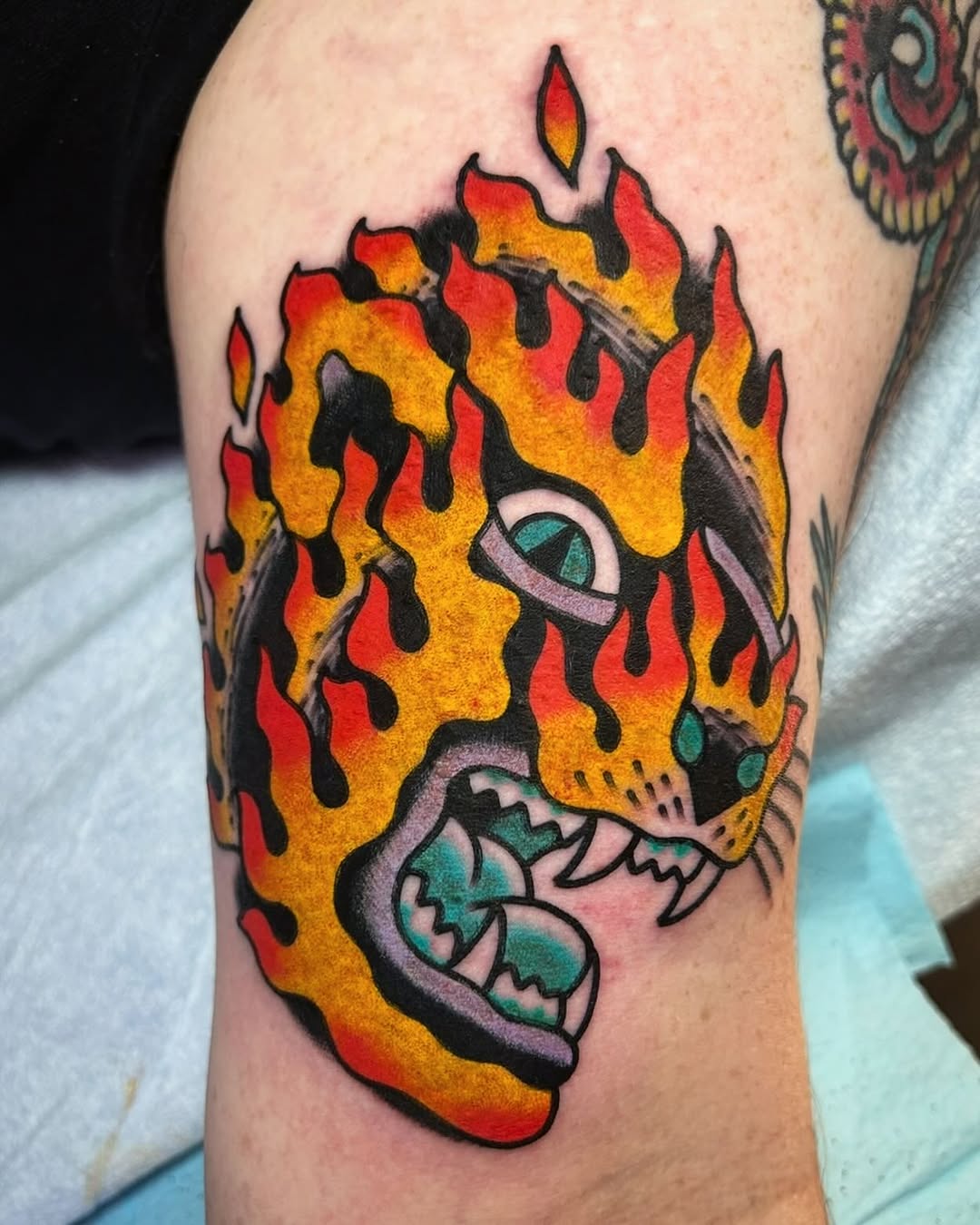 불꽃, Tiger, Animal, 불
