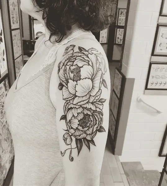 Flower, Rose, Nature