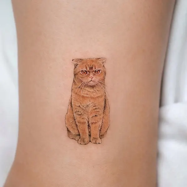 soltattoo