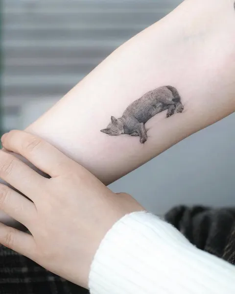 Animal