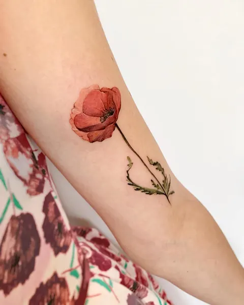 Flower, Rose, 양귀비