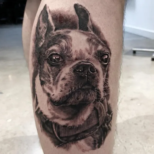 Animal