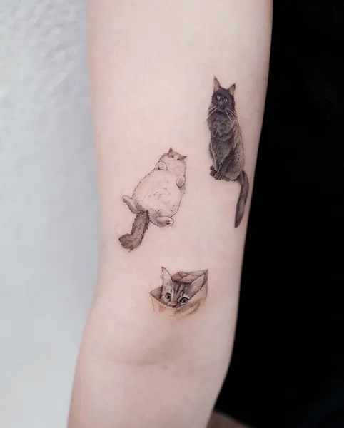 soltattoo