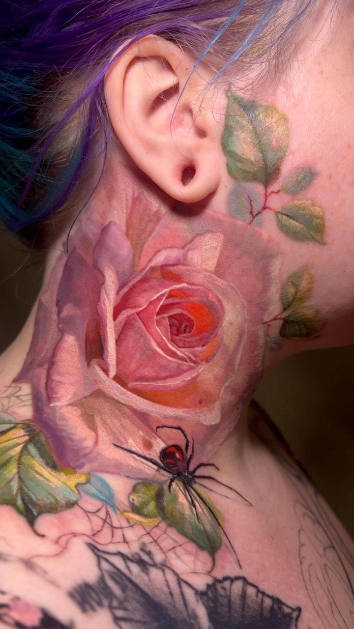 Flower, Rose, Nature