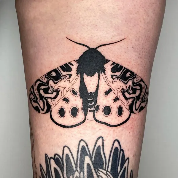 Animal, Nature, Flower
