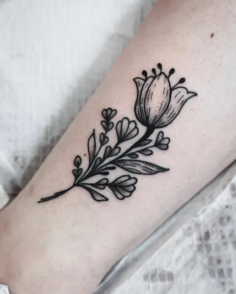 Flower, Rose, Nature