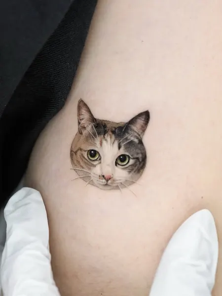 Animal, 고양이, 마네키네코, 텐구, 함사, 반려동물, 반려동물 추모, 여우 가면