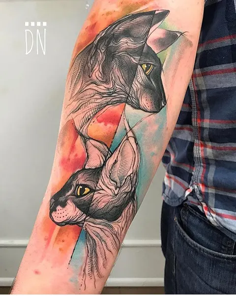 Animal