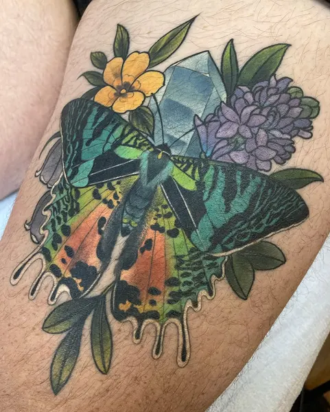 Animal, Nature