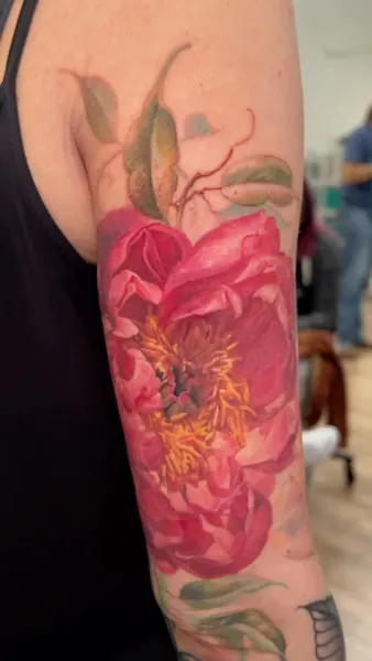 Flower, Rose, 히비스커스