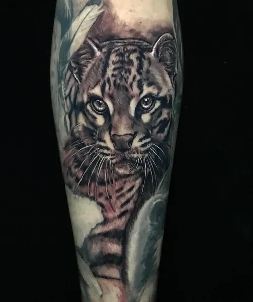 Tiger, 표범
