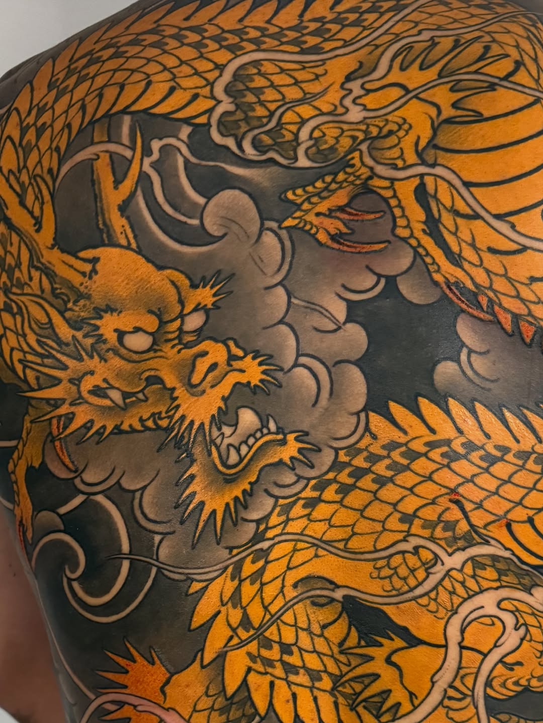 Dragon, 해부학
