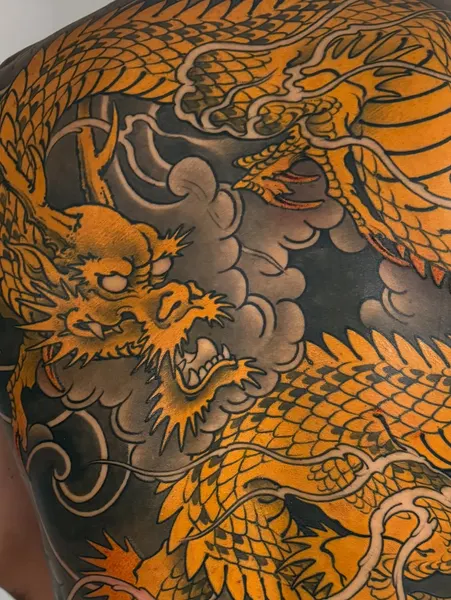 Dragon, 해부학