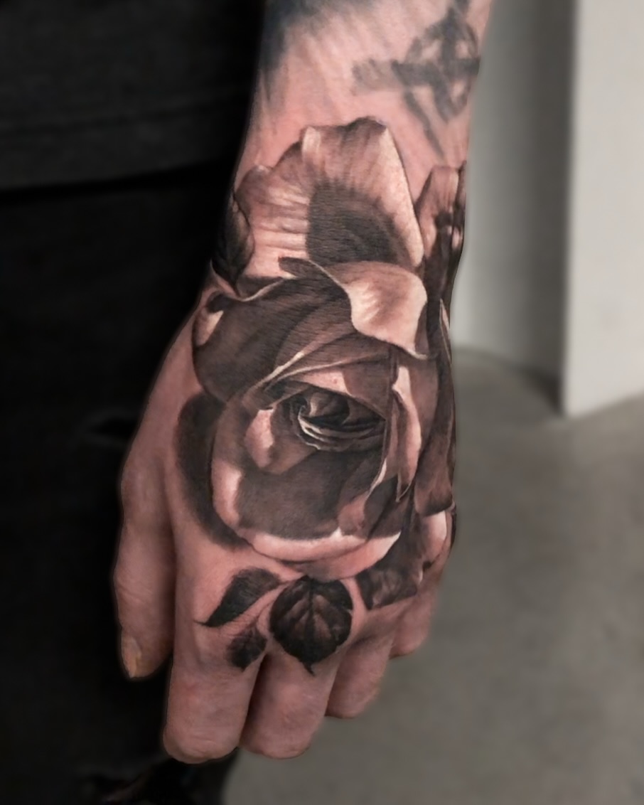 Flower, Rose