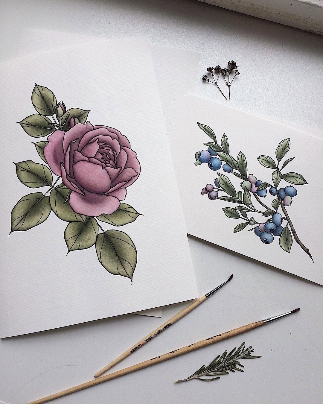 Flower, Rose