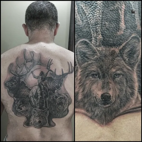 Animal