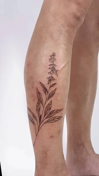 Flower, 대나무, 고사리