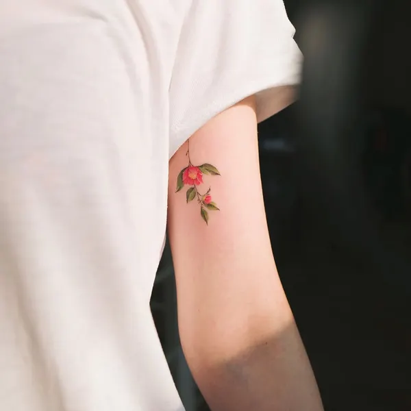 Flower, Rose