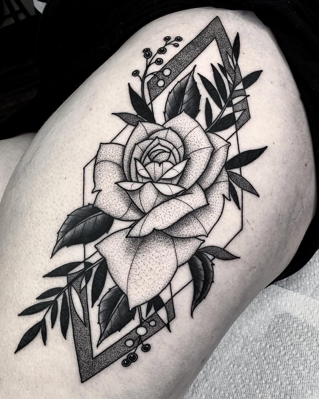 Flower, Rose, Nature