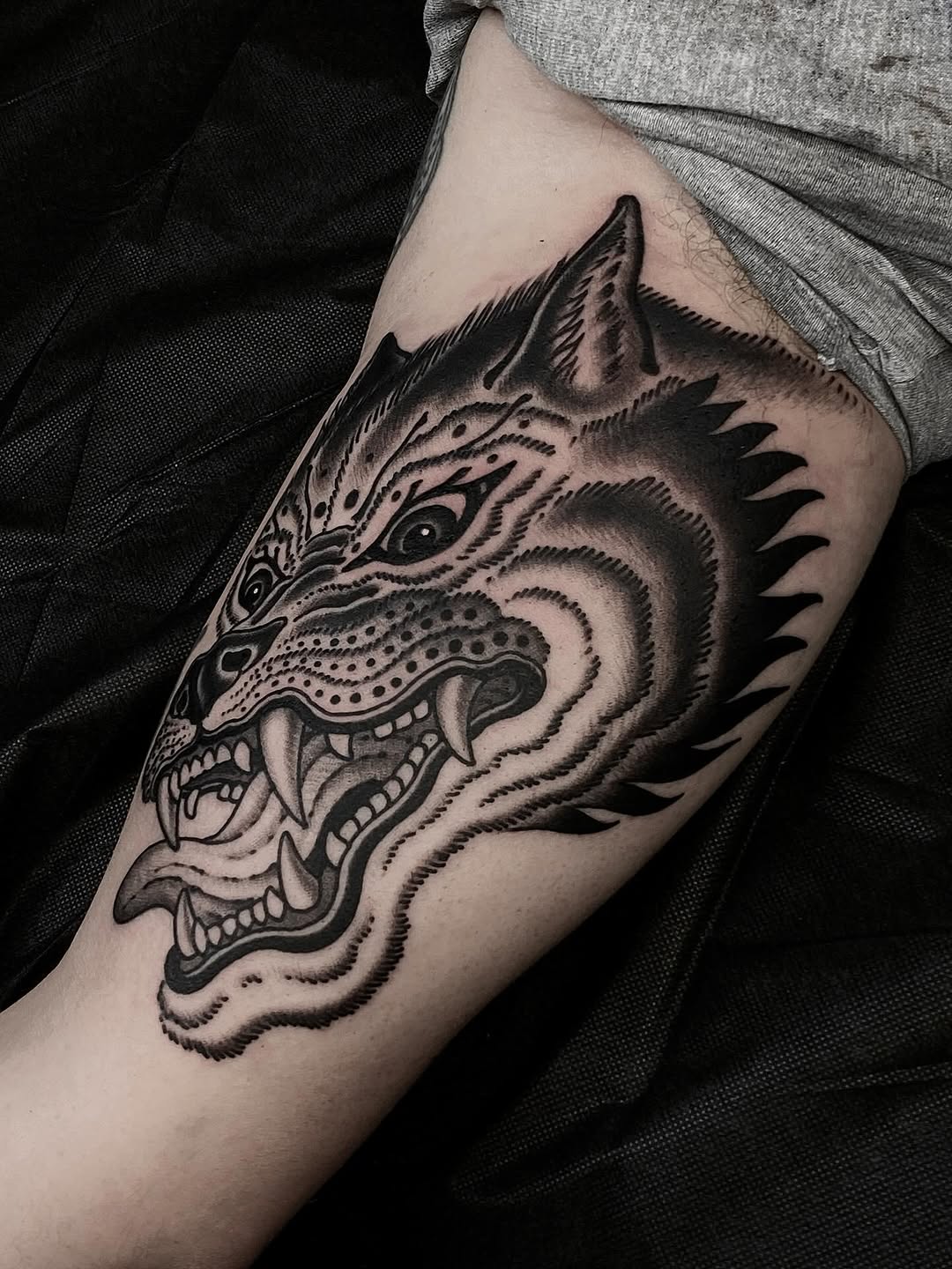 Tiger, Animal