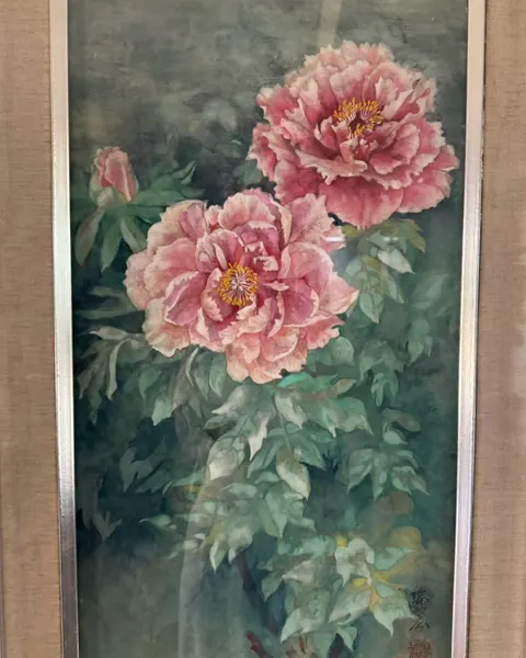Flower, Rose, Nature
