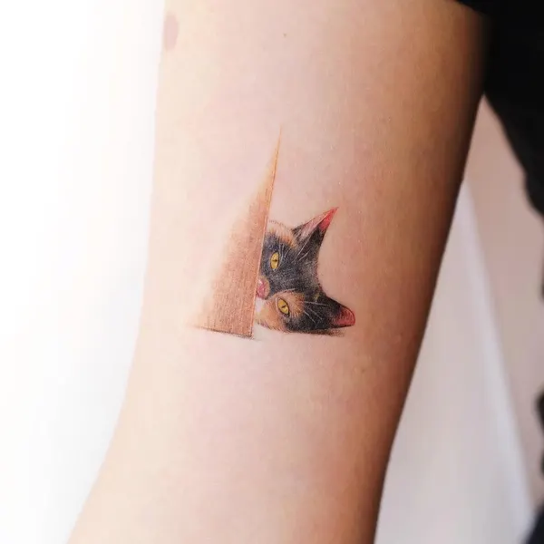 Mini, 고양이, 마네키네코