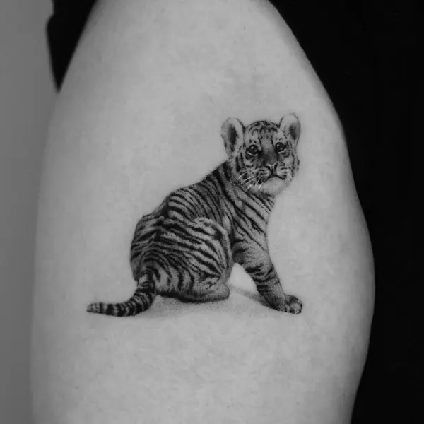 Tiger, 중국 호랑이