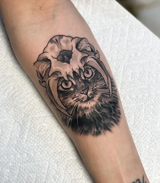 Animal, Tiger, 팬서