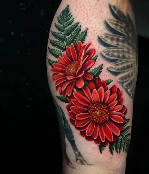 Flower, Nature, Rose