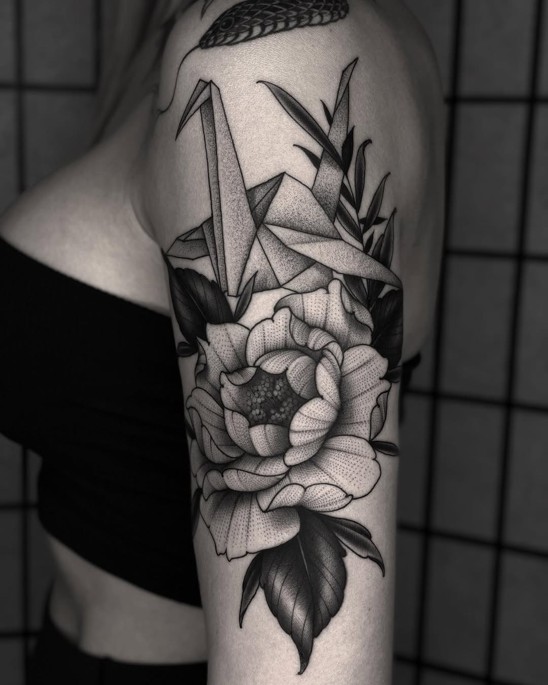 Flower, Rose, Nature