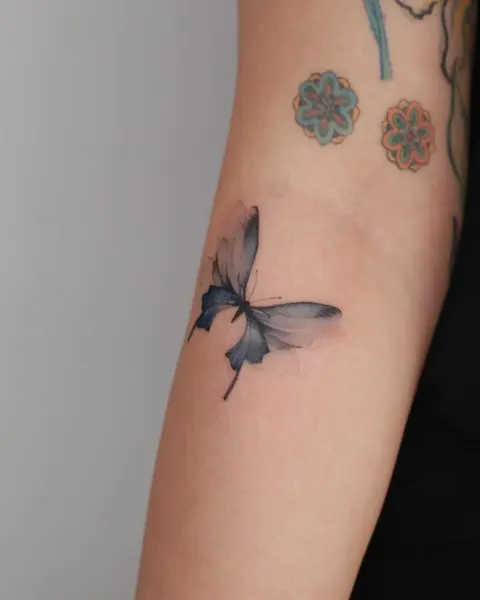 Nature, Animal, 요정, 날개, 참새