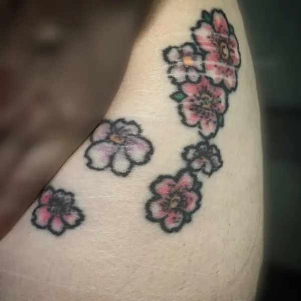 Flower, Rose, Nature